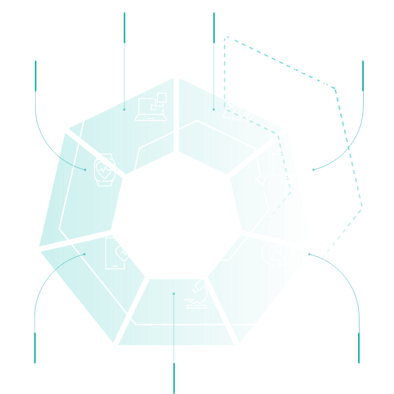 Distinctions between custom and general healthcare software development