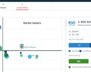 BGO-Software-leader-in-software-development-310x310