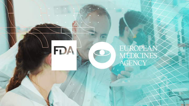 Regulatory standards: The role of EMA and FDA in digital health