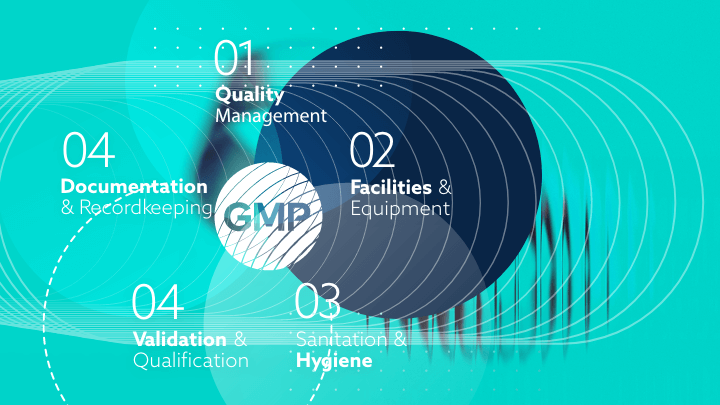 Key regulatory principles of GMP in the healthcare sector